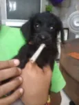 Spike