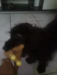 Spike