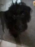Spike