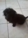 Spike