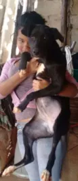 rihana