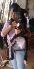 rihana