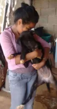 rihana
