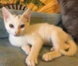 BILU