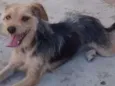 Kika