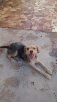 Kika