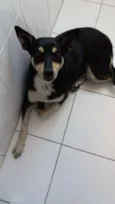 Cléo