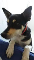 Cléo