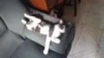 Mel e Ramona