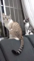 Mel e Ramona