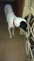 Fiona