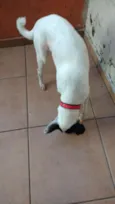 Fiona
