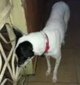 Fiona