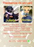 Romeu
