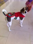 menina