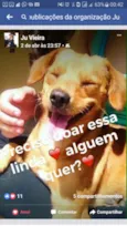 Chamamos de Mel