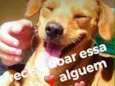 Chamamos de Mel