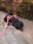Não tem