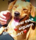 Chamamos de Mel