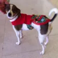 menina