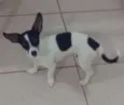 Duk