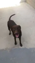 Lola