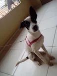 Lili