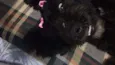 Nina