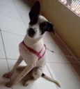 Lili