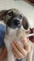 LILI
