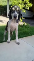 Jack