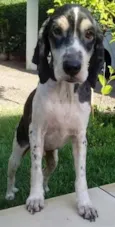 Jack