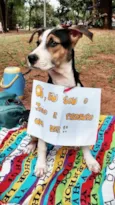 João
