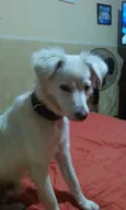 Billy
