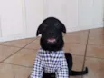 Netuno