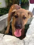 Bartô