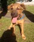 Bartô