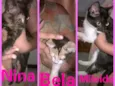 Mileide, Nina, eBela