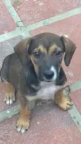 Penélope