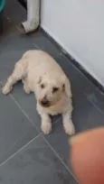 Régis