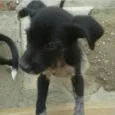 Não tem