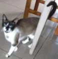 Ângela