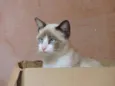 SABRINA