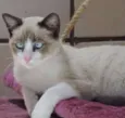 SABRINA