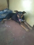 billy