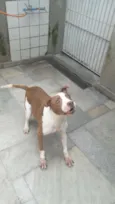 Leozinho 