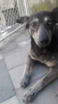 Tufão