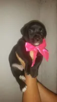 Julie