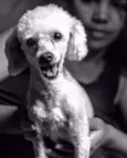 Ted