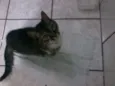 Princesa